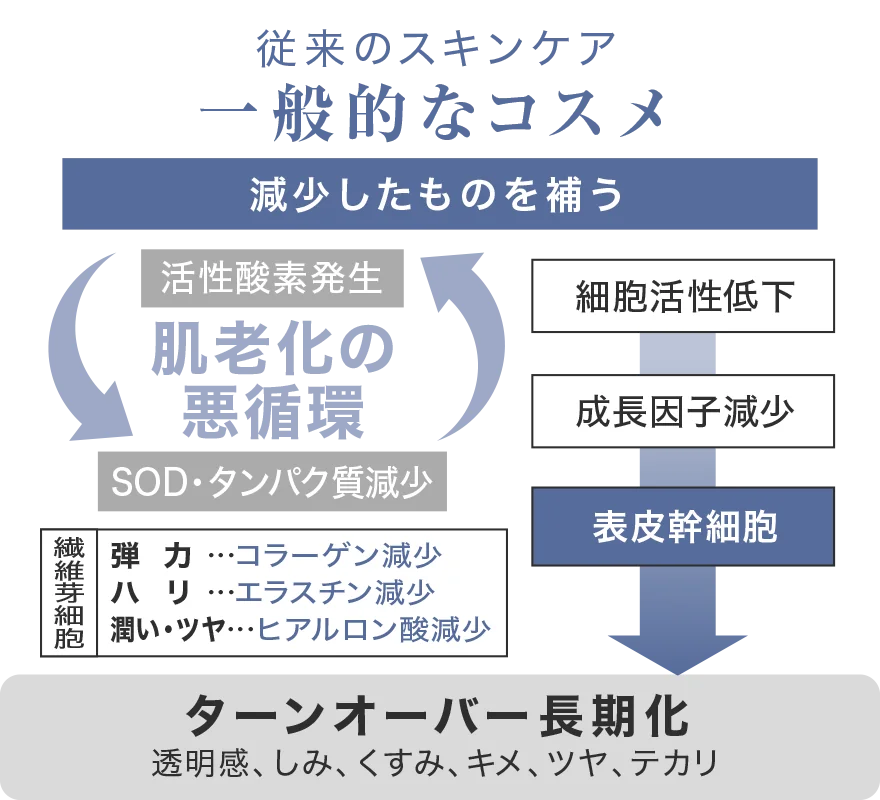 従来のスキンケア