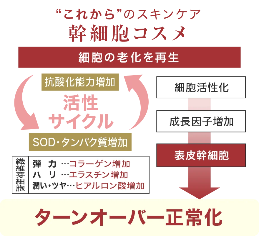 これからのスキンケア