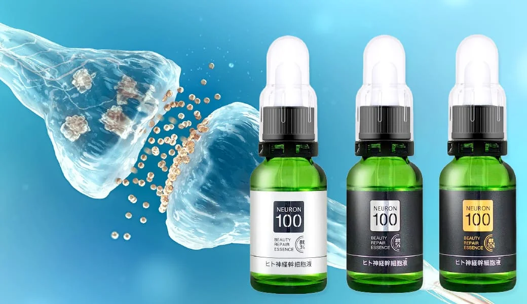 「ヒト由来神経幹細胞」イメージ